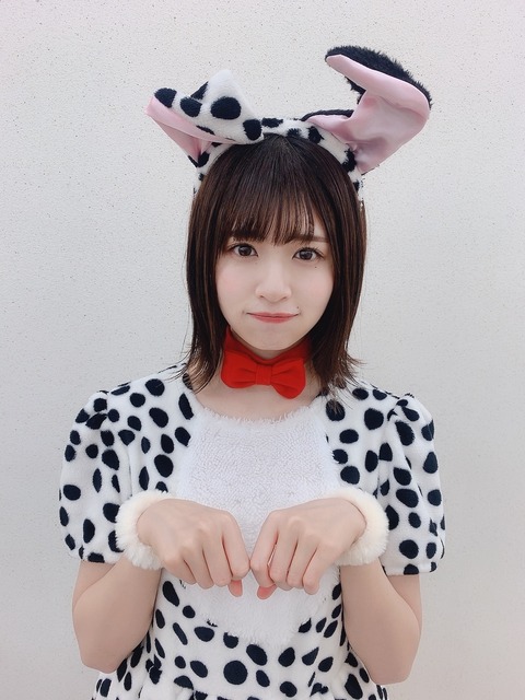 松田好花ちゃん、犬コスプレが神すぎる