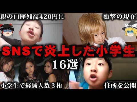 【総集編】やりすぎて炎上した小学生キッズの末路16選をゆっくり解説