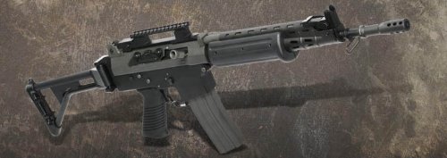 G&G　FNC ショート　（GF76 S）電動ガン