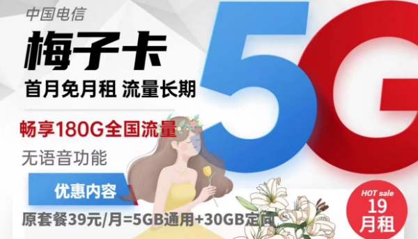 不用实名认证的流量卡有吗？电信梅子卡19元180G流量纯流量卡