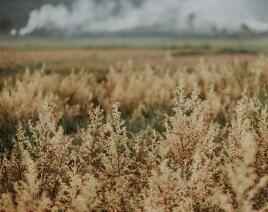 了解选购地板需注意哪些事项