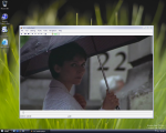 VLC media player - Windows Vista Beta 1