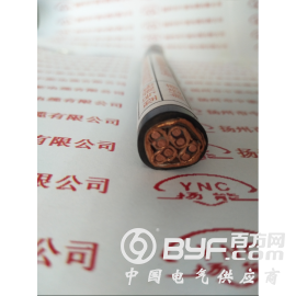 对绞铜带分屏蔽及总屏蔽聚氯乙烯护套计算机电缆DJYP2VP2