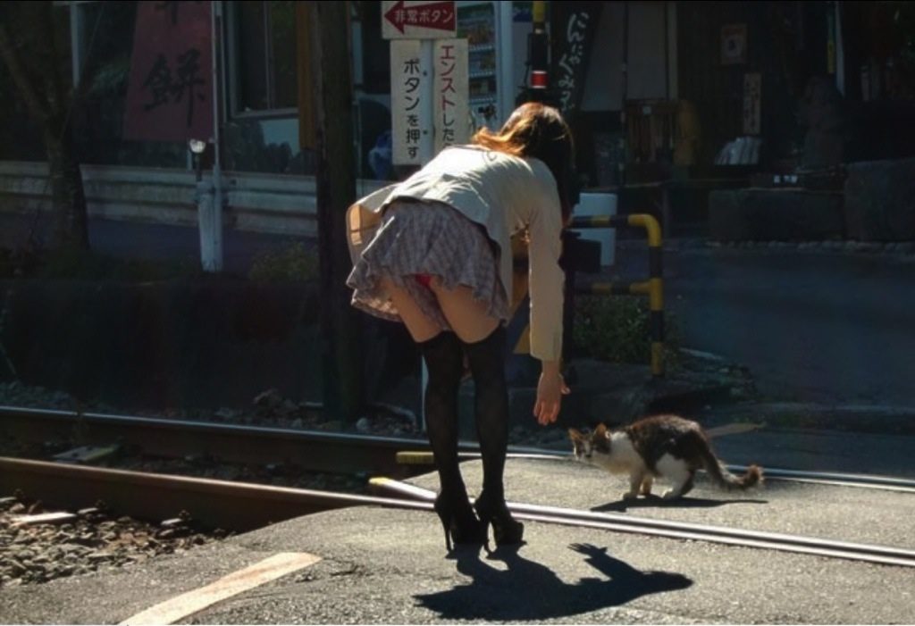 パンチラを専門で撮影してる奴の街撮りフォルダがこちらですｗｗｗｗｗ（エロ画像）・1枚目