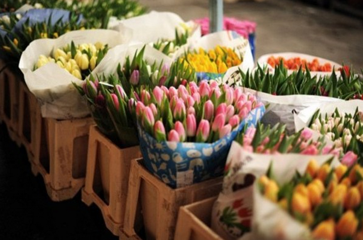 雅安花店