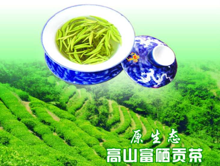 大唐贡茶