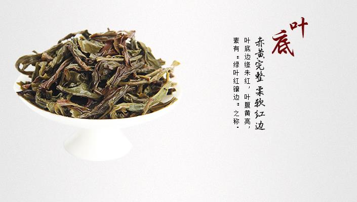 森舟茶叶加盟