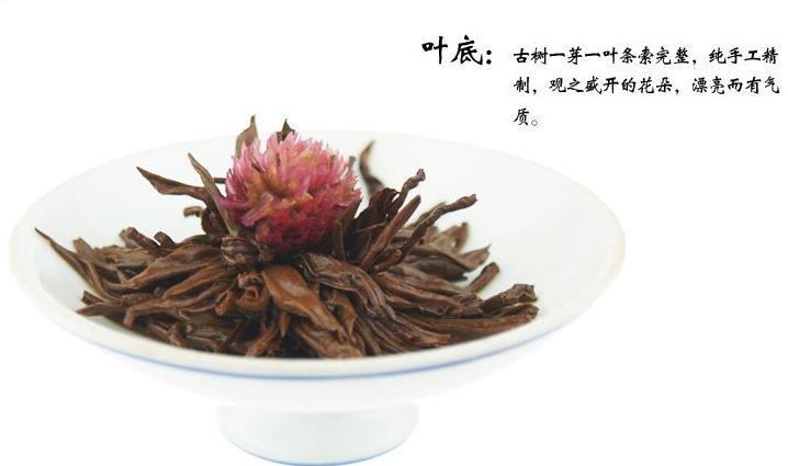 兰缘茶业加盟