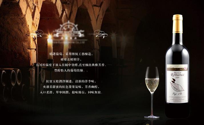 进口葡萄酒加盟