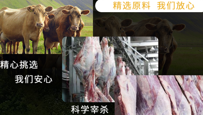 一牛牛肉脆脆鱼火锅加盟