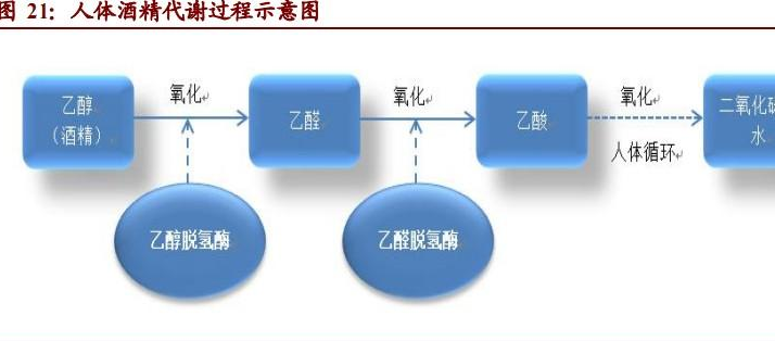 震元医药加盟