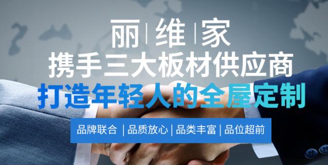 丽维家橱柜加盟