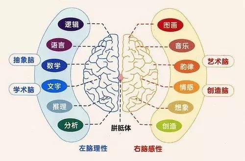 全脑开发加盟加盟