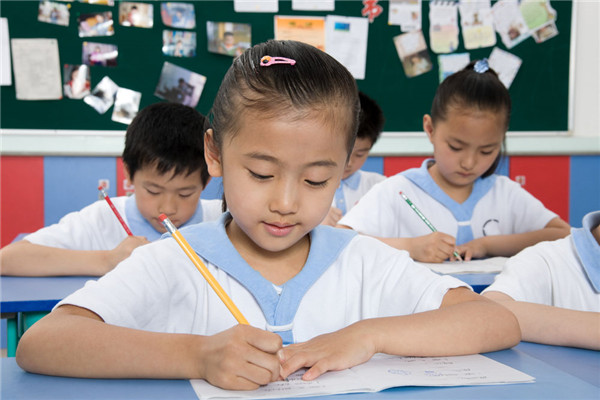 培训学校，市场趋势