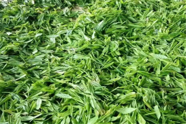 心缘茶行加盟