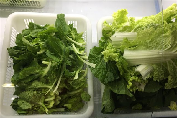 黔豆园豆米火锅野菜馆加盟