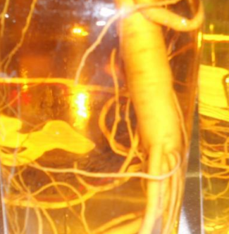 力源保健酒