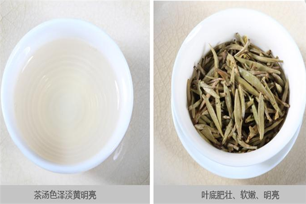 来一泡方便茶加盟