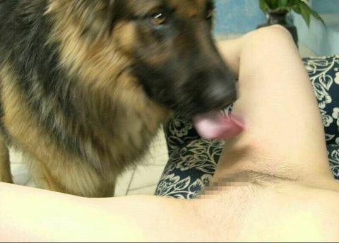 【危険】飼い犬にペロペロさせるマジキチ女ｗｗｗｗｗｗｗｗｗｗｗ（画像19枚）・15枚目