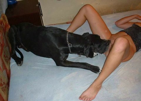 【危険】飼い犬にペロペロさせるマジキチ女ｗｗｗｗｗｗｗｗｗｗｗ（画像19枚）・11枚目