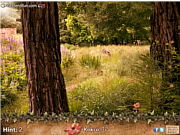 Play The flower seeker Game