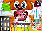 Play Animal dentist Game