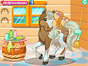 Play Barbie s horse grooming Game