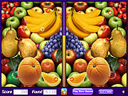 Play Wild mirror Game