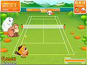 Play Crazy tennis Game