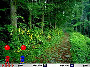 Play Pang 2004 Game