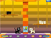 Play Swing cat Game