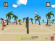 Play Beach volleyball game Game