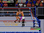 Play Wwf royal rumble 1993 Game