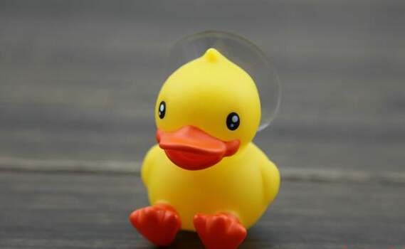 duck