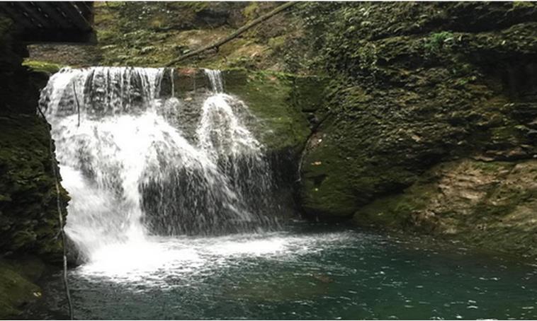 古隐山泉水加盟