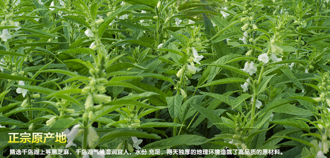 鸿沧黑芝麻糕点