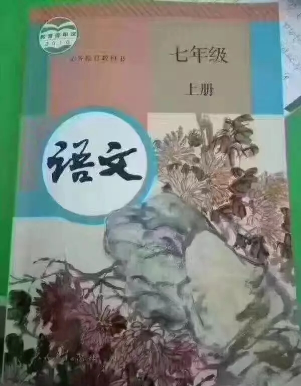 快速阅读，列入初中教材了！