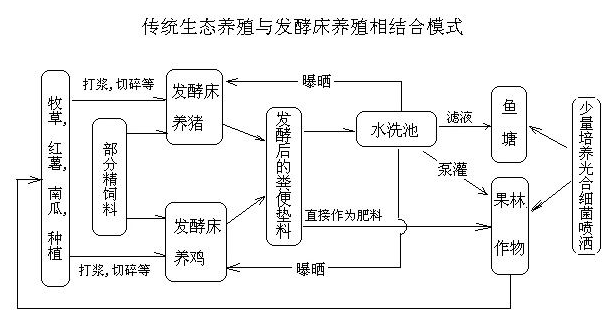 农村养殖什么可以致富 生态养殖好吗？