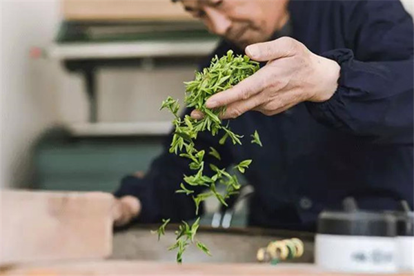 茶本造物茶叶