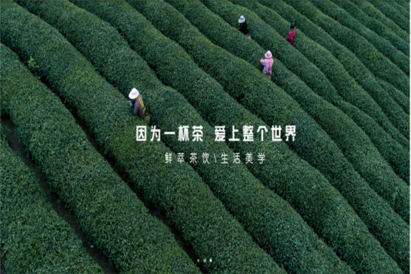 新世代茶饮宣传