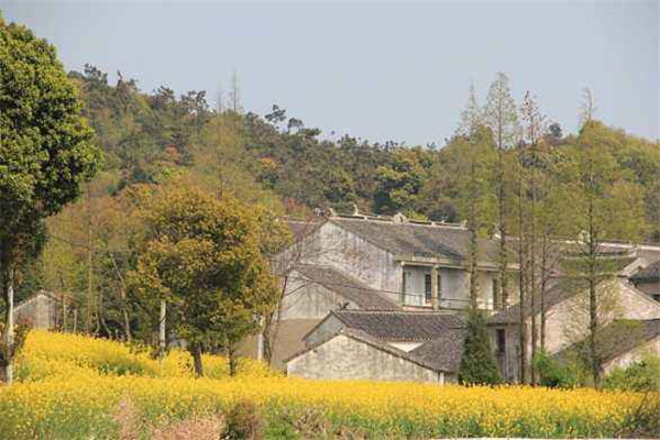 漫山岛农家乐