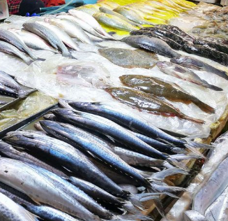 冷食批发海鲜