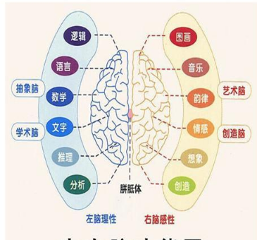 智力开发教育有经验