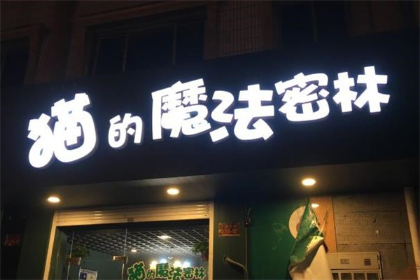 猫的魔法密林门店