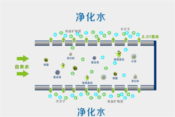 比丽尔净水器净化水