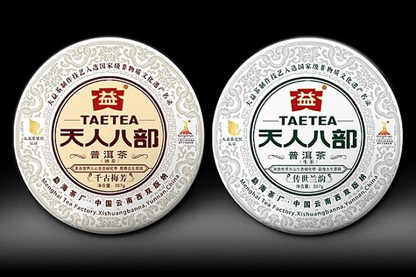 大益普洱茶专卖店包装