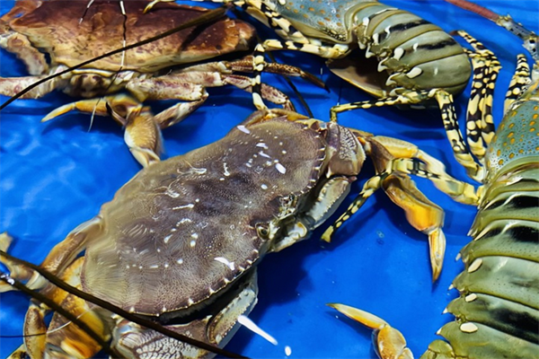 辣否海鲜餐厅海蟹