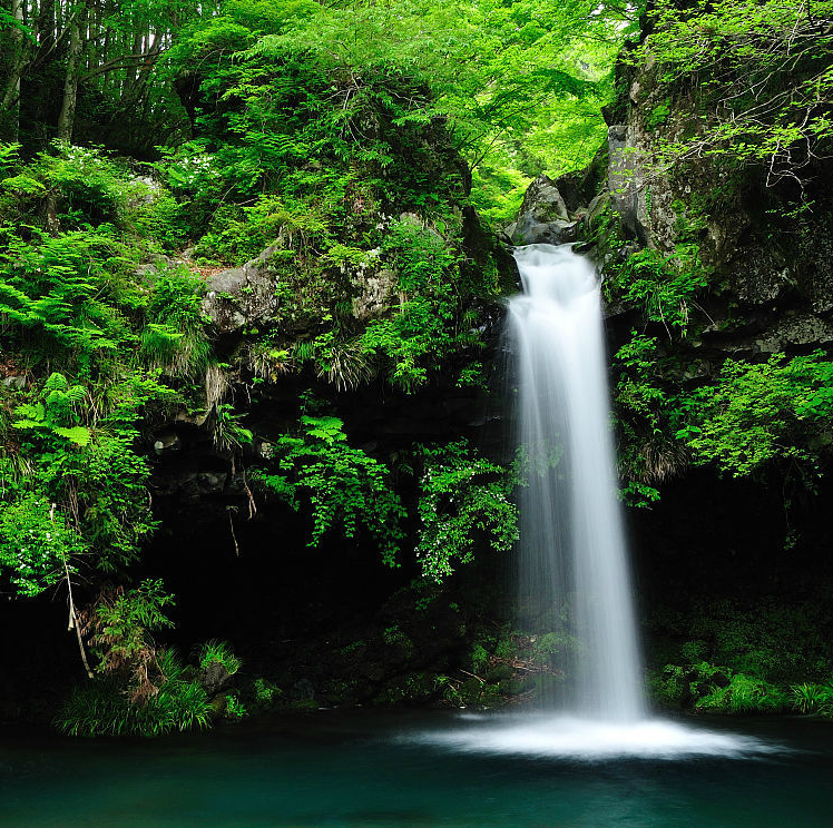 华明楼系列山泉水