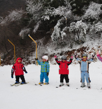 光猪滑雪