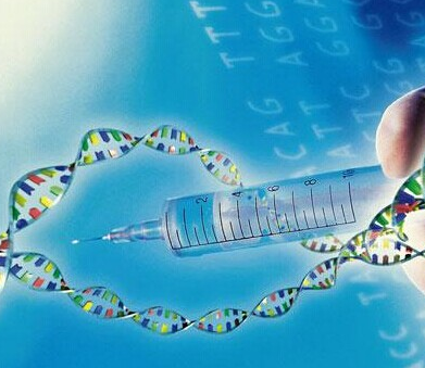 博宁洛克生物基因宣传相册